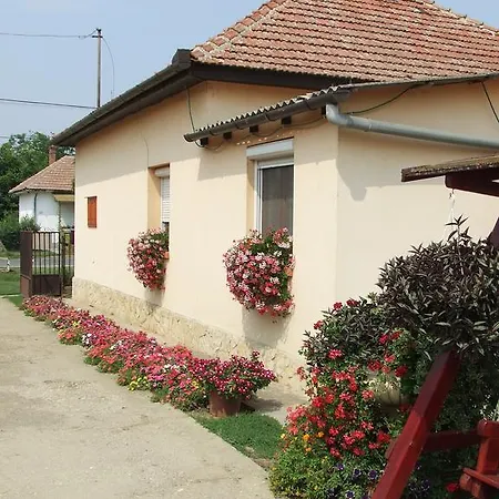 Apartment Tiszavirag Vendeghaz