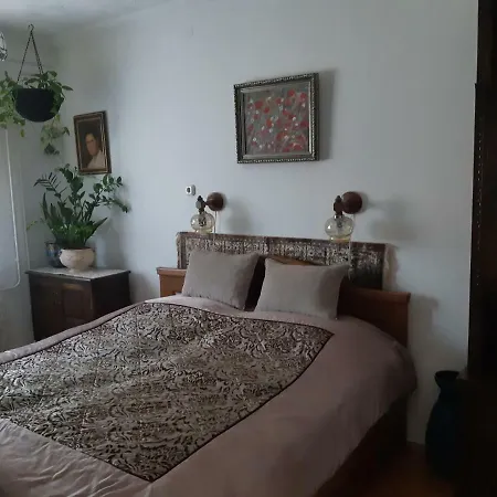 Tiszavirag Vendeghaz *
