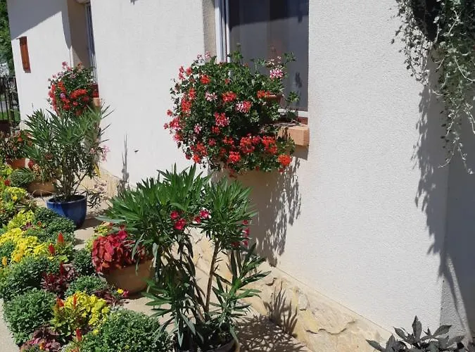 Tiszavirag Vendeghaz Apartment Abadszalok