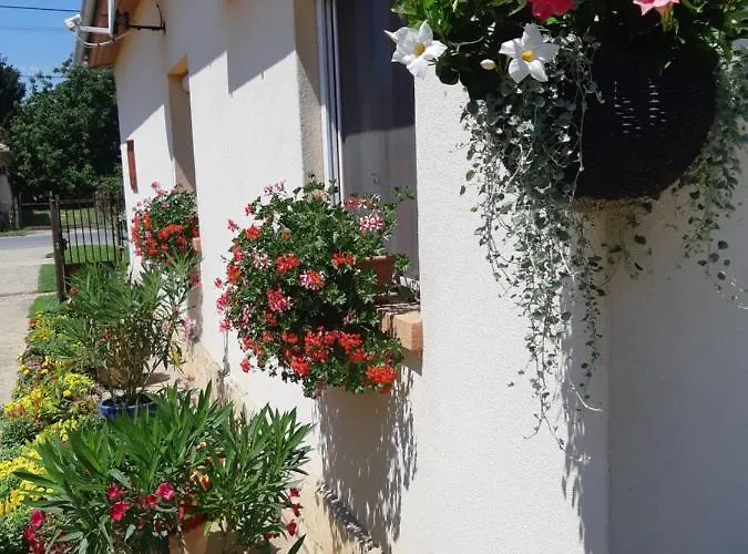 Tiszavirag Vendeghaz * Abadszalok