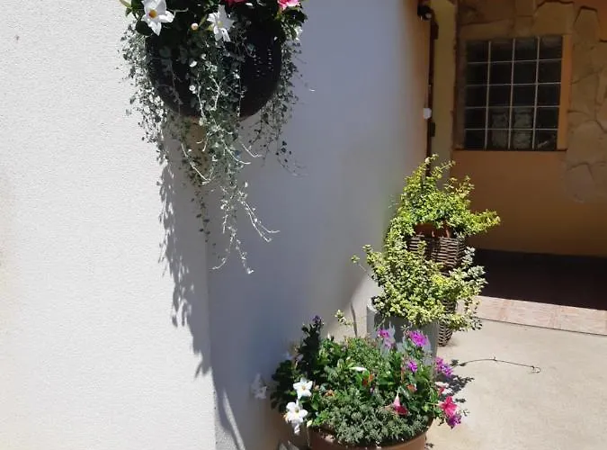 Tiszavirag Vendeghaz