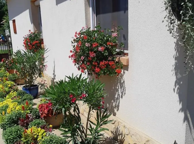 Tiszavirag Vendeghaz * Abadszalok