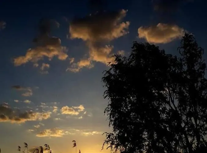 Tiszavirag Vendeghaz * Abadszalok