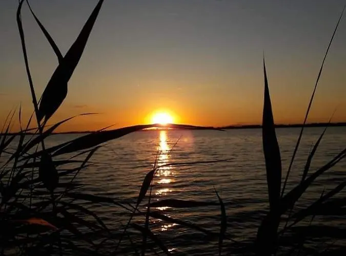 Tiszavirag Vendeghaz *