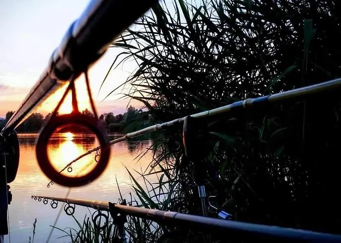 Tiszavirag Vendeghaz Abadszalok