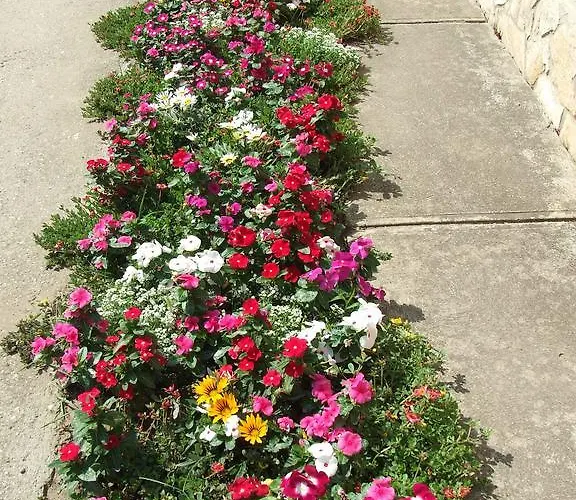 Tiszavirag Vendeghaz Apartment *