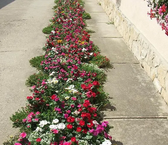 Tiszavirag Vendeghaz * Abadszalok