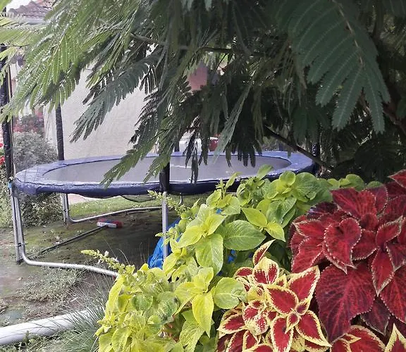 Apartment Tiszavirag Vendeghaz Abadszalok