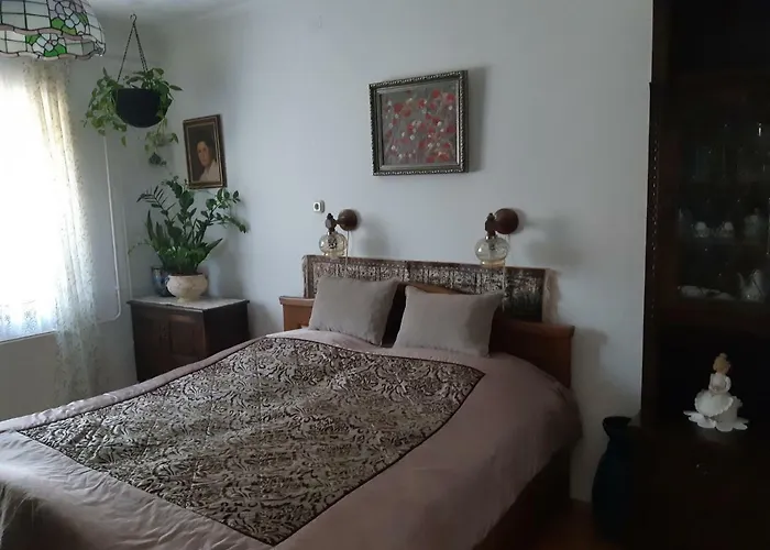 Tiszavirag Vendeghaz *