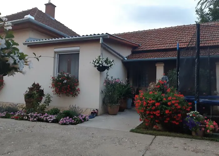 Tiszavirag Vendeghaz Apartment Abadszalok